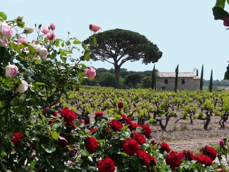 La Bastide Du Clos Des Roses - Teritoria Frejus Bagian luar foto